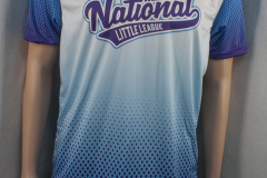 V-Neck Custom Jersey