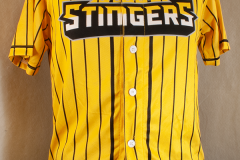 Stingers Baseball Jersey