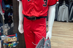 Scarlets Baseball